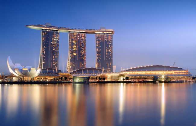 Increased big cat sightings in the Sands of Singapore