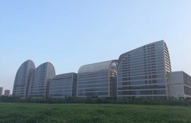 SVSI enables networking at the G20 Summit