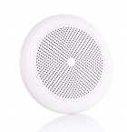 WP ceiling speakers brave the outdoors