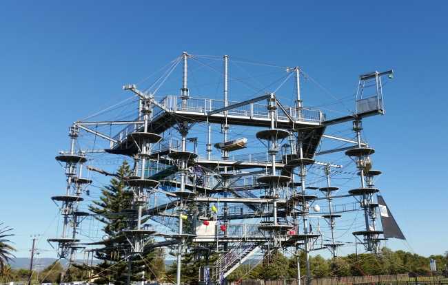 Community at Mega Adventure Aerial Park