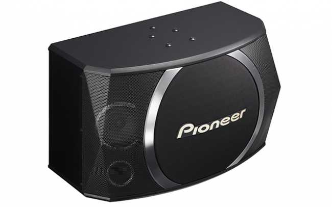 Pioneer karaoke speakers target large spaces
